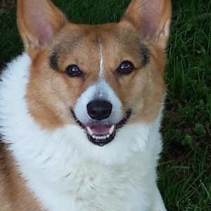 Meet your Posher, Janet